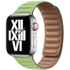 Magnetic Leather Link Loop Band